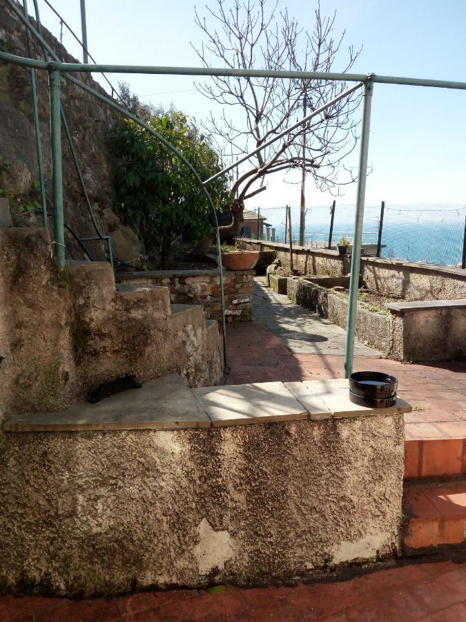 Casa Picasso Apartment Genoa Exterior photo